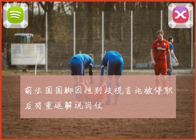 前法国国脚因性别歧视言论被停职后将重返解说岗位