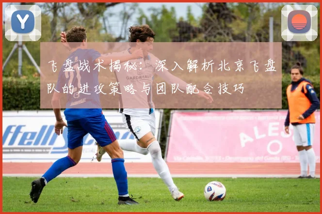 飞盘战术揭秘：深入解析北京飞盘队的进攻策略与团队配合技巧